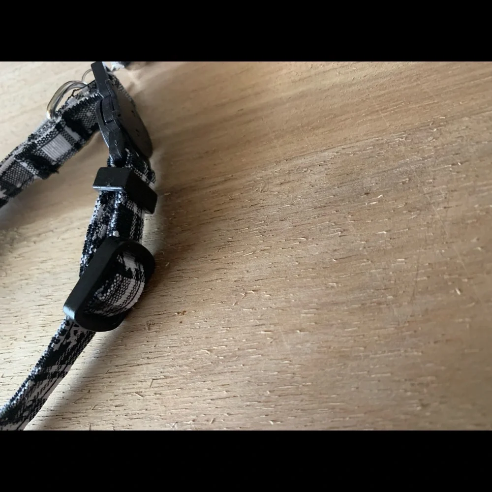 PET COLLAR